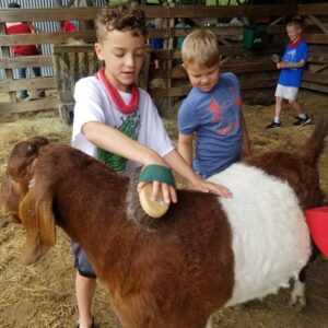 Children petting and brushing a donkey in the stables