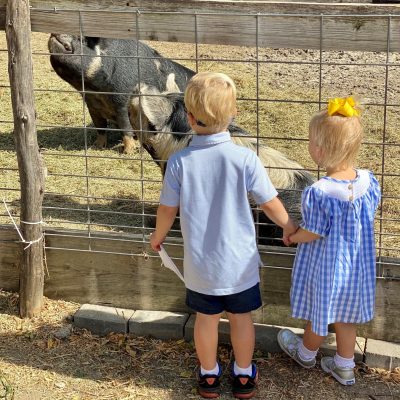 kid with pigs